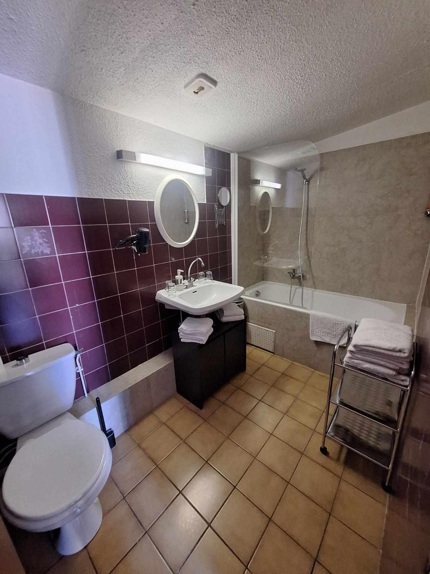 Hotel Le Connetable Saint-Bonnet-en-Champsaur Εξωτερικό φωτογραφία